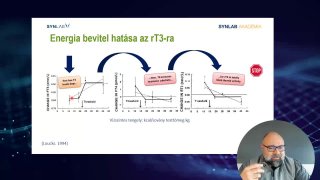 Energia bevitel hatása az rT3-ra