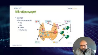 Mikrotápanyagok