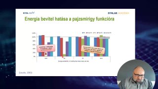 Energia bevitel hatása a pajzsmirigy funkcióra