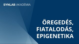 Öregedés, fiatalodás, epigenetika