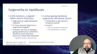 1 - Epigenetika és táplálkozás