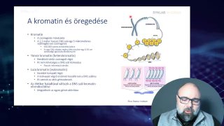 03 - Mi is az az epigenetika