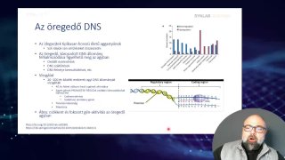 06 - Az öregedő DNS