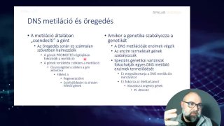 08 - DNS metiláció és öregedés