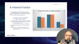 04 - A relaxáció hatásai