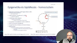 02 - Homocisztein