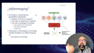 1 - Inflammaging