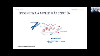4  -Epigenetika a molekulák szintjén