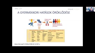 7 - A gyermekkori hatások öröklődése