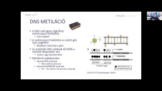 9 - DNS metiláció