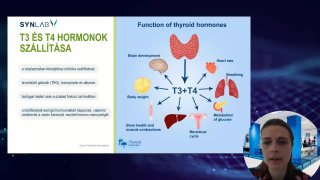 T3 és T4 hormonok szállítása