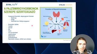 A pajzsmirigy hormonok szerepe