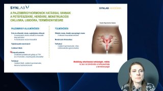 A pajzsmirigy hormonok hatása a nemekre