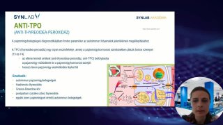 Anti-TPO