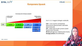 14 - Komponens típusok