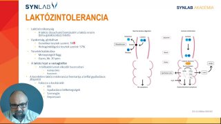 4 - Laktózintolerancia