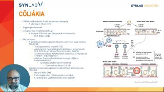 6 - Cöliákia