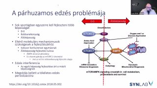 9 - Ellentétes képességek párhuzamos fejlesztése