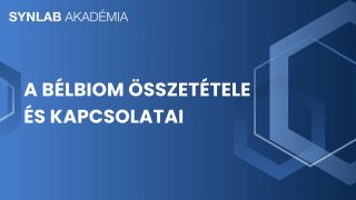 A bélbiom összetétele és kapcsolatai
