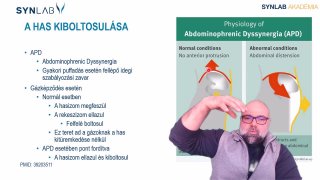 10. Has kiboltosulása