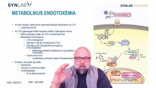 4. Metabolikus endotoxémia
