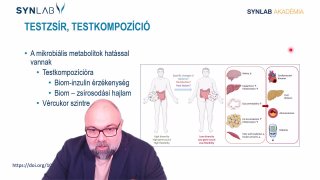6. Testzsír, testkompozíció