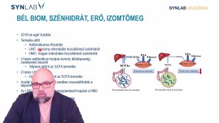 11. Bélfal integritás