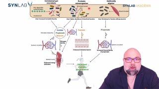 13. Bélbiom és az edzés kapcsolata