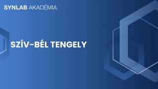 6. Szív-bél tengely