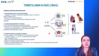 7 - Trimetilamin-n-oxid