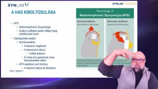 10. Has kiboltosulása