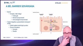 2. A bél barrier szivárgása