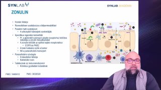 3. Zonulin