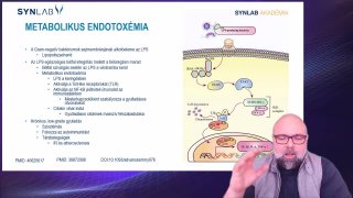 4. Metabolikus endotoxémia