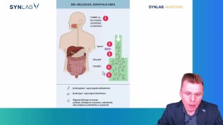 3 - Bélgázok összetétele és mennyisége