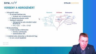4 - A hidrogén sorsa