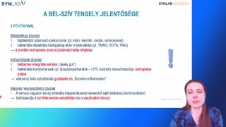 4 - A Bél-szív tengely