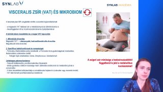 16 - Visceralis zsír és mikrobiom