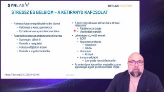 3. Stressz és bélbiom