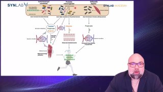 13. Bélbiom és az edzés kapcsolata