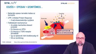 14. Edzés + Epesav = Izomtömeg
