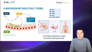 6. Mikrobiom metabolitokat termel