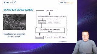 2. Baktérium biomarkerek