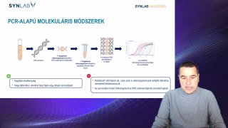 2. PCR-Alapú molekuláris módszerek