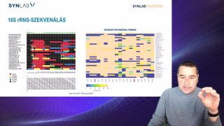 4. 16S rRNS-szekvenálás 2