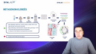 6. Metagenom-elemzés