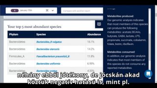 Mintaleleteken alapulú esettanulmány 1.