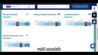 Mintaleleteken alapulú esettanulmány 2.
