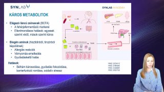 4. Káros metabolitok
