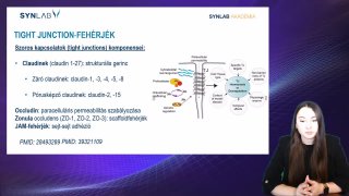 2. Kehelysejtek és mucintermelés